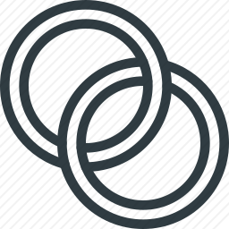 <em>戒指</em>