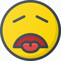 <em>厌恶</em>