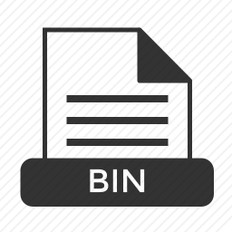 BIN文件