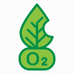 <em>氧气</em>