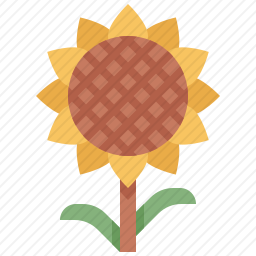 <em>向日葵</em>