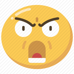 <em>愤怒</em>