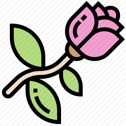 <em>玫瑰</em>