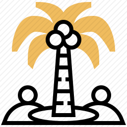 棕榈树