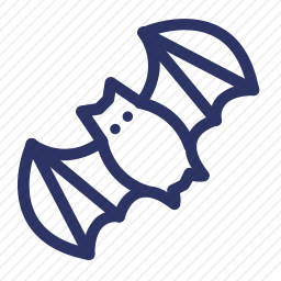<em>蝙蝠</em>