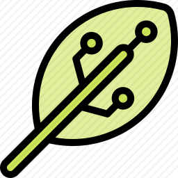 <em>叶子</em>