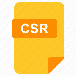 CSR文件