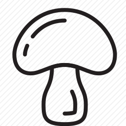 蘑菇