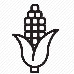 <em>玉米</em>