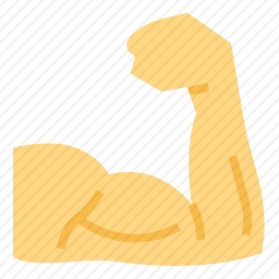 <em>手臂</em>