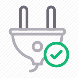 <em>插头</em>