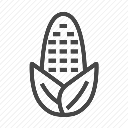 <em>玉米</em>