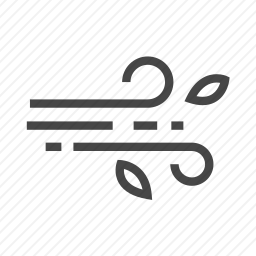 <em>风</em>