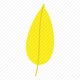 树叶
