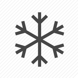 <em>雪花</em>