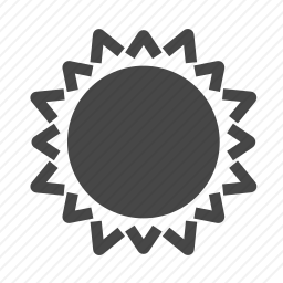 <em>太阳</em>