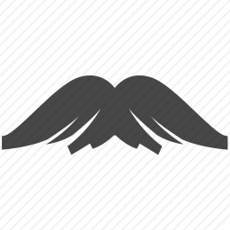 <em>小胡子</em>