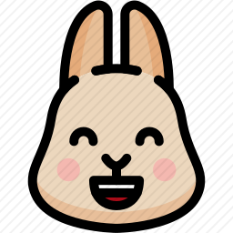 开心的兔子