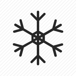 <em>雪花</em>