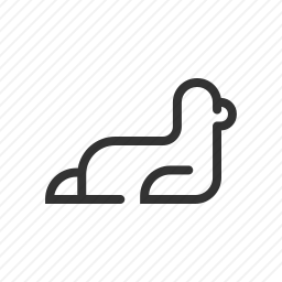 <em>海豹</em>