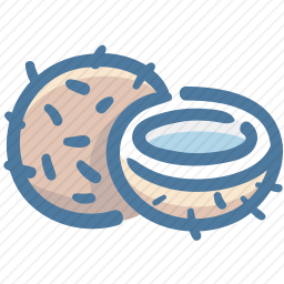 <em>椰子</em>