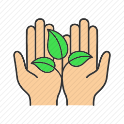 <em>植物</em>