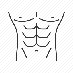 <em>腹部</em>
