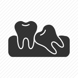 <em>牙齿</em>