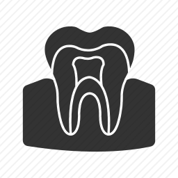 <em>牙齿</em>