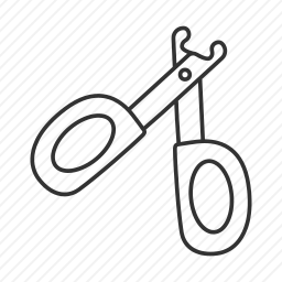 修剪<em>指甲</em>