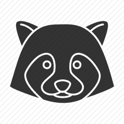 <em>浣熊</em>