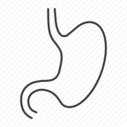 胃