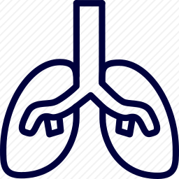 <em>肺</em>