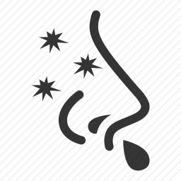 <em>过敏</em>