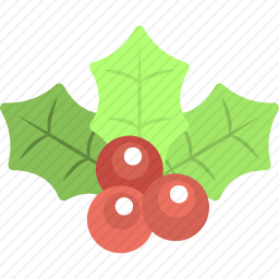 <em>浆果</em>