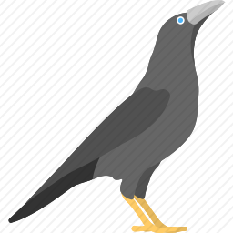 <em>乌鸦</em>