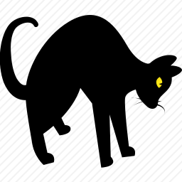 <em>猫</em>