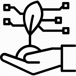 <em>植物</em>
