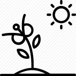 <em>植物</em>