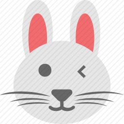 兔子