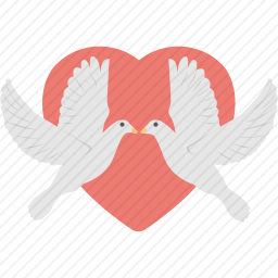 <em>爱心</em>