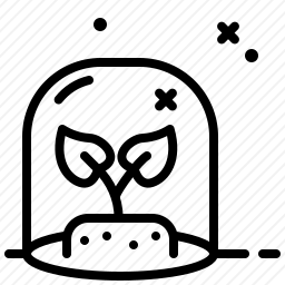 <em>植物</em>