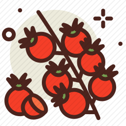<em>番茄</em>