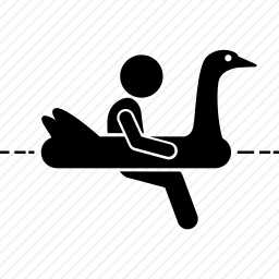 <em>泳池</em>玩耍