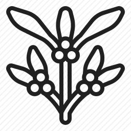 <em>植物</em>