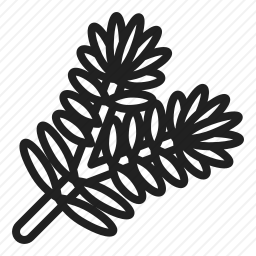 树枝