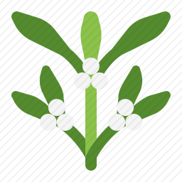 植物
