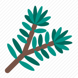 树枝