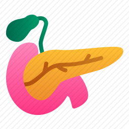 胰腺