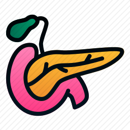 <em>胰腺</em>